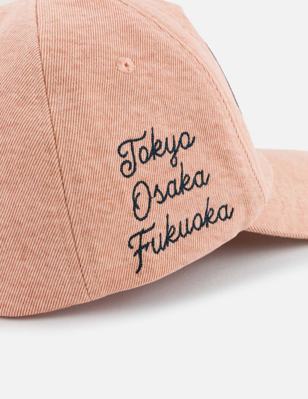 PALACE EVISU Sakura Pink Embroidery Denim Cap